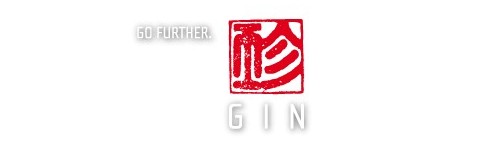  Parapentes Gin